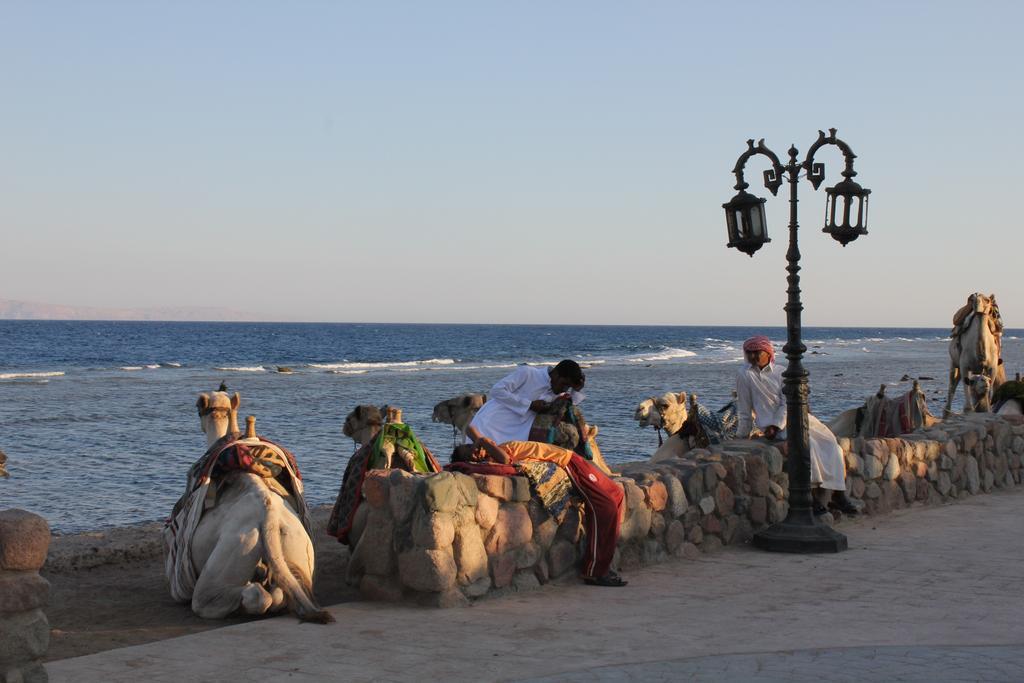 La Reine Dahab Hotel Экстерьер фото